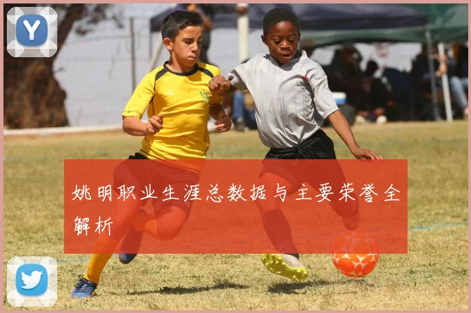 姚明职业生涯总数据与主要荣誉全解析