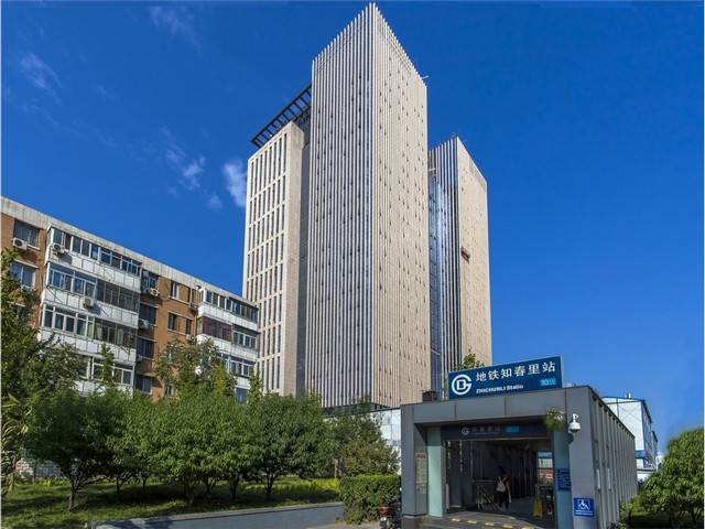 金山区吸甲醛植物租赁